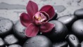 /album/fotogaleria/a947015-370892286344617-1232968776-n-jpg/